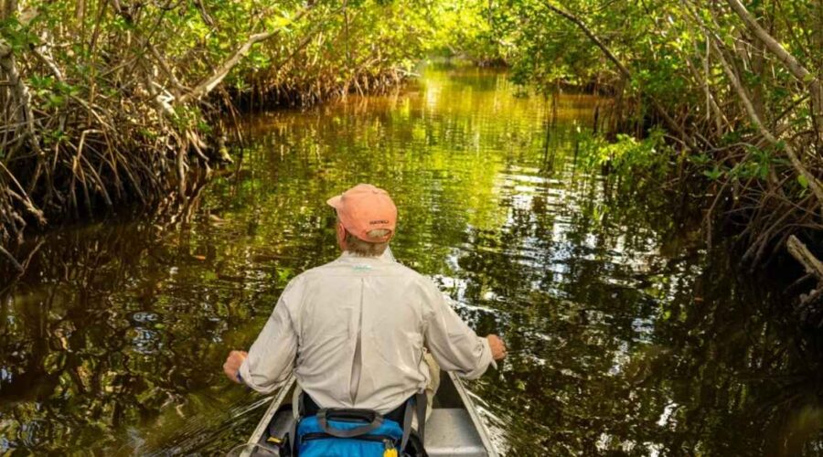 Conservancy Of Southwest Florida News Championing Environmental Preservation in a Changing Climate