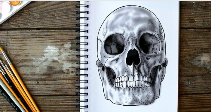 Mastering the Art of Drawing Skulls: A Step-by-Step Guide